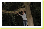 Klicken Sie auf das Bild, um es zu vergrößern